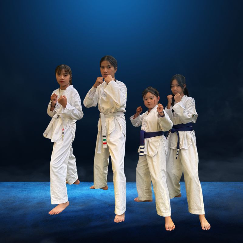 Catalyst Taekwondo photo 5
